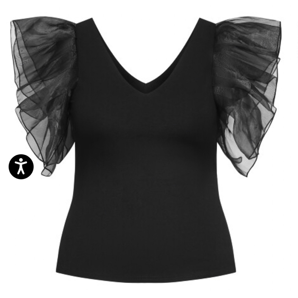 Elegant Black Organza Top with Sheer Sleeves